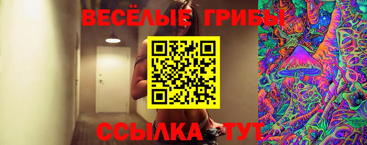 Галлюциногенные грибы Cubensis  Вход с VPN  Коломна 